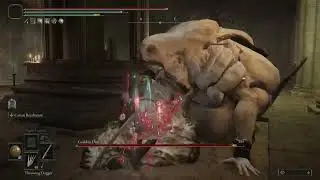Elden Ring - Godskin Duo No Hit NG+7
