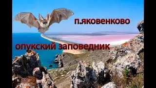 Крым п. Яковенково  Опукский заповедник, розовое озеро.