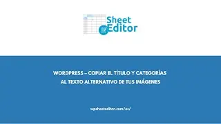 WordPress – Copiar el Título y Categorías al Texto Alternativo de tus Imágenes
