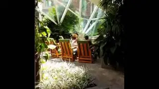 Travel L.I.F.Estyle (Scam)