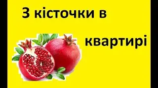 Як правильно вирощувати ГРАНАТИ з кісточки в домашніх умовах
