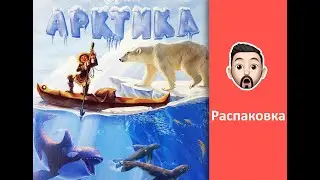 Распаковка настольной игры Арктика