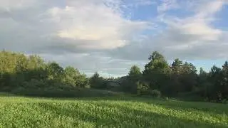 больше года гостей с машиной небыло. дорога затянулась и пропала