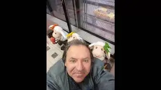 Покемон ГО