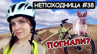 ВЕЛОПОХОД ПО ХАКАСИИ. НАШЛА ПУСТОЙ КЕМПИНГ И ЗАНОЧЕВАЛА. НЕПОХОДНИЦА