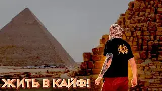 Египет 2021. Шарм Эль Шейх. Каир. Александрия. Жить в Кайф!