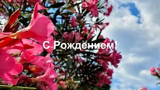 Рождение - лучший день!