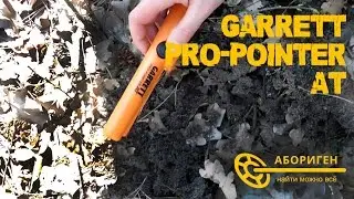 Для чего нужен пинпоинтер? Пример Garrett Pro-Pointer AT
