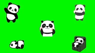 Panda animated Green Screen Effects !! Free