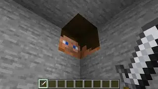 400 of Minecrafts Craziest Glitches!