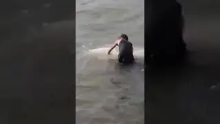 Anong klasing isda to