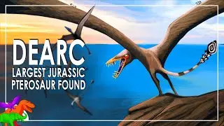 Largest Jurassic Pterosaur Found In Scotland – Dearc | Non-Dinosaurs EXPLAINED