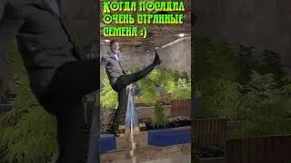Когда посадил очень странные семена :) 