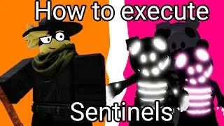 How to execute Sentinels tutorial (Piggy video)