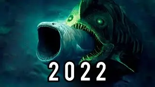 Evolution of Bloop 2001-2022