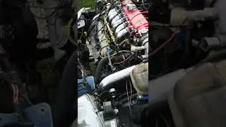 Alfa gtv 3.0 turbo