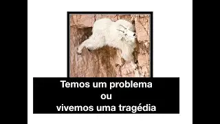 Temos um Problema ou Vivemos uma tragédia?