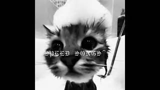 –По Москве-Daryana(𝙨𝙥𝙚𝙚𝙙 𝙪𝙥)⋆୨୧