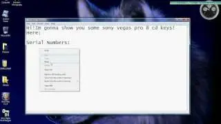 Some Sony Vegas Pro 8 Serial Numbers & Authentication Codes