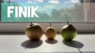 Реакция Стран/Страны Прошлого 3/Finik \~