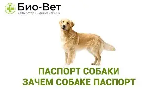Паспорт Собаки & Зачем Собаке Паспорт. Ветклиника Био-Вет