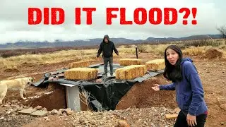 Three Straight Days Of Rain! How Did the Root Cellar Hold Up?