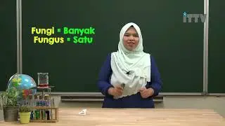 Tahun 6 Sains   Microoganisma highlight