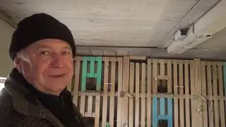 Николаевские голуби. В гостях у голубеводов.