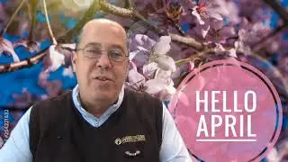 Hello April!