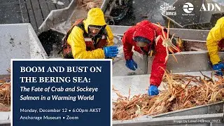 Boom and Bust in the Bering Sea: The Fate of Crab and Sockeye Salmon in a Warming World
