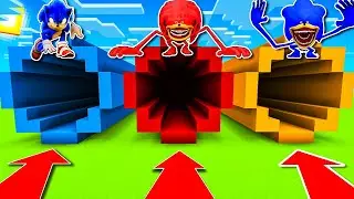 NE CHOISISSEZ PAS LE MAUVAIS TUNNEL SUR MINECRAFT ! Sonic Tapes, Knuckles Tapes, Sonic