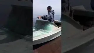 Хорошая рыбалка.