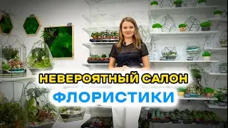 Студия природы для дома Fitomir Decor | Обзор