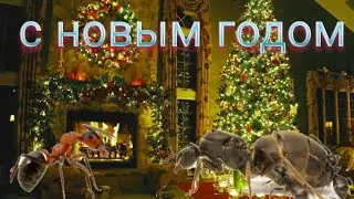 С новым муравьиным 2020ым годом!