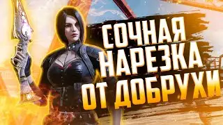 Play & Win Squad Wipe | CALL OF DUTY MOBILE #solovssquad #squadwipe #codm #cod #shotgun #добруха