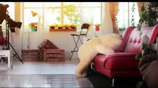 Stop Motion Bear Studio Foto Tangerang by Dedy Arpan