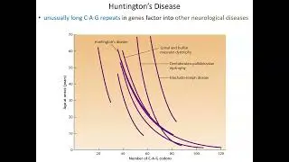 Dominant Human Disorders (Huntington's Disease, Achondroplastic Dwarfism)