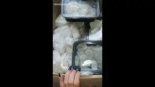 Распаковка/Обзор /Мел/ Глина Честор, Ватутин, Опал, Астана