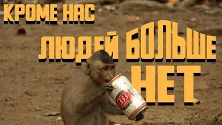 Кроме нас, людей больше нет [exurb1a на русском]
