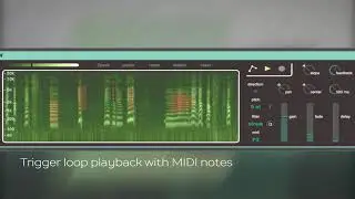 Iota - Max for Live Granular Looper