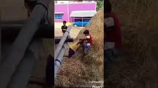 troll face 👀#funny short video😈👀😈