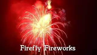 線香花火 - Firefly Fireworks