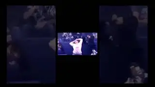 LOS FANS DEL MALTRATO ANIMAL EN LA VIDA REAL😂😂😂