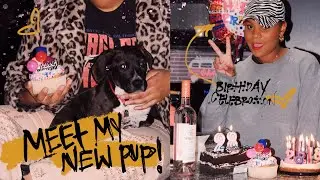 🎨 WEEK 2 #JAZZOG's I GOT A PUPPY !! 🐶Meet my 4 month old Hound Mix Puppy | Jasmine Long