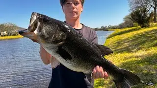 INSANE Florida BASS FISHING! (GIANT landed)