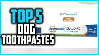 ✅Top 5 Best Dog Toothpastes in 2024