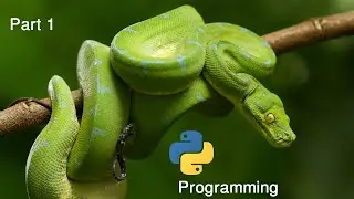 Find word in paragraph in python