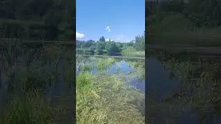 Широка страна моя родная! #nature #футбол #beach #garden #fishing #cooking #farming #food