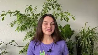6: Soil Mixtures | Houseplant Guide for Beginners | PLANT CRASH COURSE