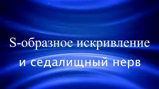 Защемление седалищного нерва. Возможные причины. Коррекция тренировки.
